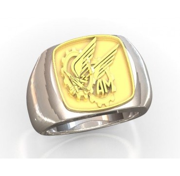 ARPETES - Argent massif + Plateau Or massif 9 carats 375/1000eme - Armée de l'Air