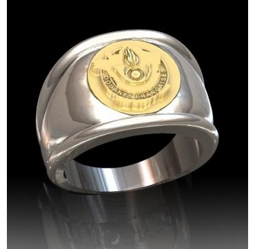 SERVICE DES DOUANES - Argent massif + Plateau or massif 18 carats - Armée de Terre