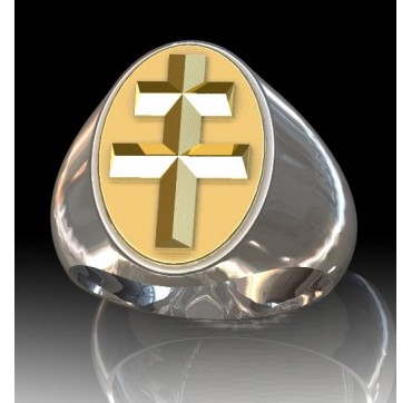 ARMES JEANNE D'ARC  Argent massif + Plateau Or massif 9 carats 375/1000eme - 