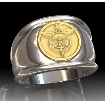 6EME RPIMa - Argent massif + Plateau or massif 18 Carats - Armée de Terre