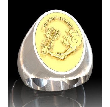 Gendarmerie Connetablie - Argent massif + Plateau or massif 18 Carats - Armée de Terre
