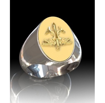 PLONGEUR INTERVENTION OFFENSIVE - Argent massif + Plateau or massif - Marine Nationale