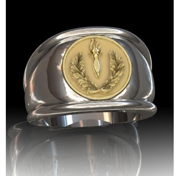 CRS - Argent massif + Insigne  or 9 carats - Autres Corporations