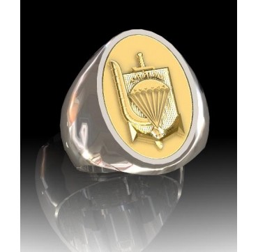 3EME RPIMa OVALE - Argent massif + Plateau or massif 9 carats  - Armée de Terre
