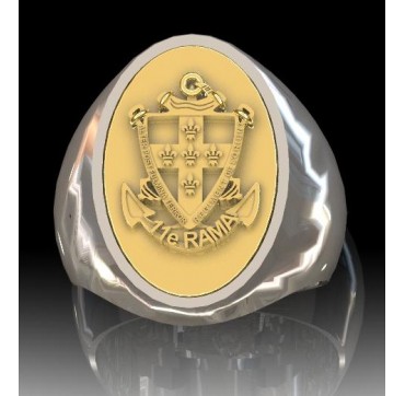 11EME RAMA - Argent massif + Plateau or massif 9 carats- Armée de Terre