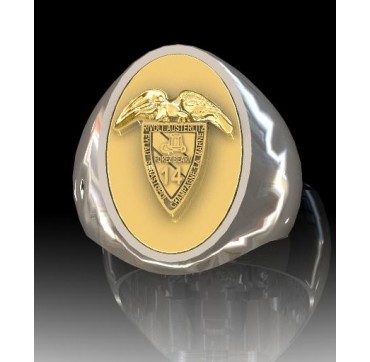 13EME RDP - Argent massif + Plateau or massif 18 carats - Armée de Terre