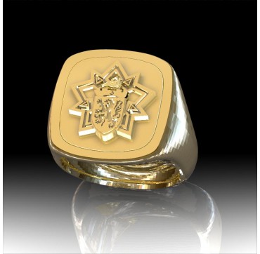 3EME REGIMENT DU GENIE -Or massif jaune ou gris - Armée de Terre Sur devis selon cours du jour de l'Or et taille de doigt