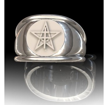 Blindée & Cavalerie - Argent massif - Armée de Terre