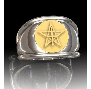 1ER SPAHIS - Argent massif + Plateau or massif - Armée de Terre