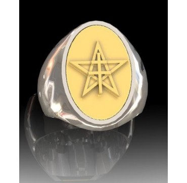 1ER SPAHIS - Argent massif + Armée de TerrePlateau Or massif 9 carats 375/1000eme