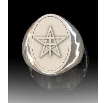1ER SPAHIS - Argent massif - Armée de Terre