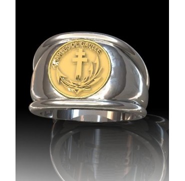 PORTE AVION CHARLES DE GAULLE. - Argent massif + Plateau or massif 9 carats - Marine Nationale