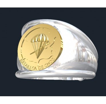 1ER CHOC - Argent massif + Plateau or massif 18 Carats - Armée de Terre