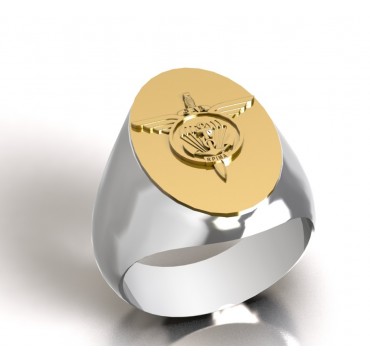 6eme RPIMa ovale - Argent massif + Plateau Or massif 9 carats 375/1000eme - Armée de Terre