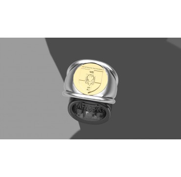 Infanterie - Argent massif + Plateau or massif 18 carats - Armée de Terre