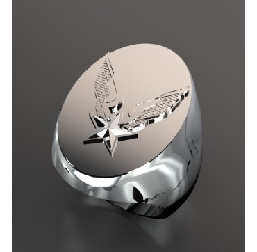 Alat ovale- Argent massif - Armée de Terre