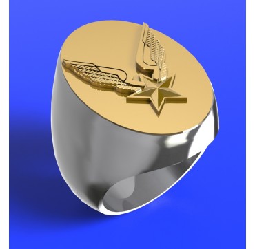 Alat ovale - Argent massif + Plateau or massif 18 carats - Armée de Terre