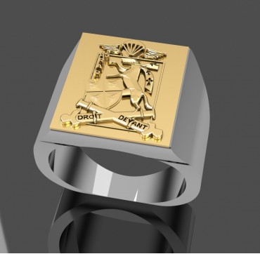 35eme RAP - Argent massif + Plateau or massif 18 carats - Armée de Terre