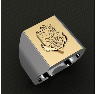 2 EME RIMa - Argent massif   + Plateau or massif 18 carats- Armée de Terre