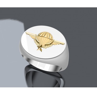 CHEVALIERE BREVET PARACHUTISTE- Argent massif + Plateau Or massif 9 carats 375/1000eme - Armée de Terre