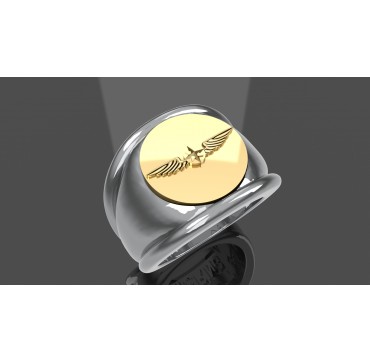 BREVET DE PILOTE PRIVE - Argent massif + Insigne  or 9 carats - Autres Corporations