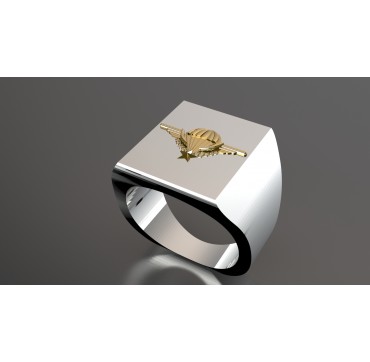 CHEVALIERE BREVET PARACHUTISTE- Argent massif + Plateau Or massif 9 carats 375/1000eme - Armée de Terre