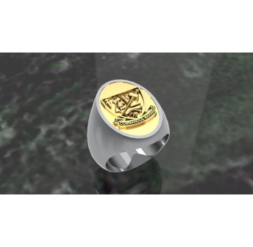 Commandos de marine ovale- Argent massif + Plateau Or massif 9 carats 375/1000eme - Marine Nationale
