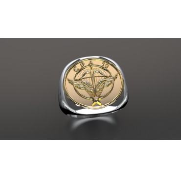 CPA 10 - Argent massif + Plateau or massif 18 carats - Armée de l'Air