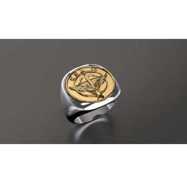 CPA10 - Argent massif + Plateau Or massif 9 carats 375/1000eme - Armée de l'Air