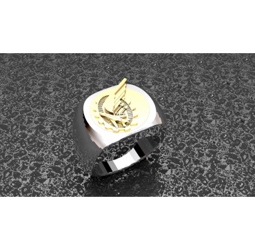 ARPETES - Argent massif + Plateau Or massif 9 carats 375/1000eme - Armée de l'Air