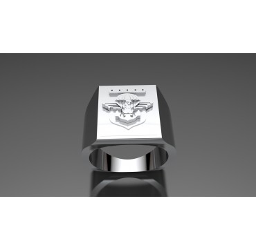 EMBLÈME 13EME RDP - Argent massif - Armée de Terre