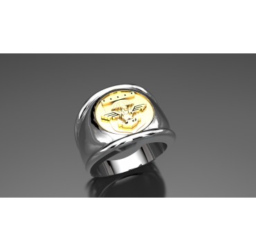 17EME RGP - Argent massif + Plateau or massif 18 carats - Armée de Terre