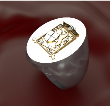 35eme RAP - Argent massif + Plateau Or massif 9 carats 375/1000eme - Armée de Terre