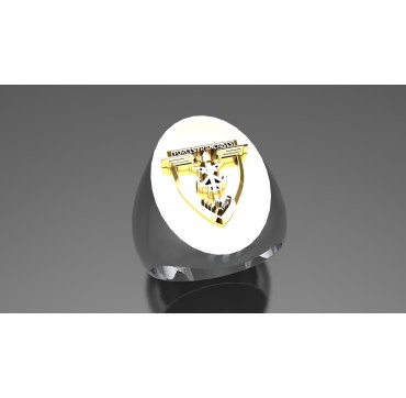 FORCES FRANÇAISES EN ALLEMAGNE - Argent massif + Plateau Or massif 9 carats 375/1000eme - Armée de Terre