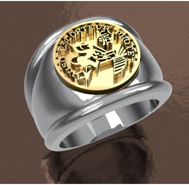 A-E COMMANDANT PROTET- Argent massif + Plateau Or massif 9 carats 375/1000eme - Marine Nationale
