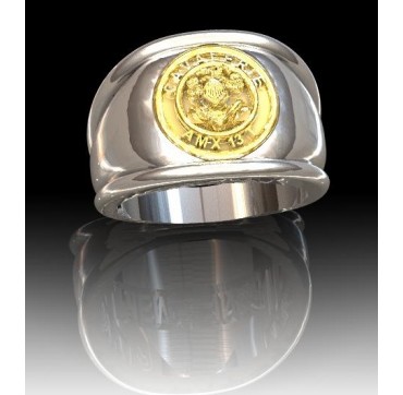 Blindée & Cavalerie AMX13T - Argent massif + Armée de TerrePlateau Or massif 9 carats 375/1000eme