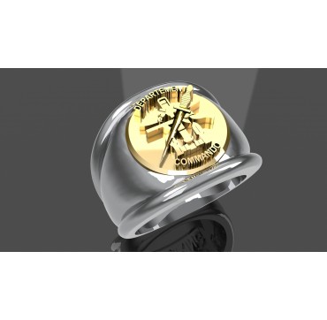 DEPARTEMENT COMMANDO- Argent massif + Plateau Or massif 9 carats 375/1000eme - Marine Nationale