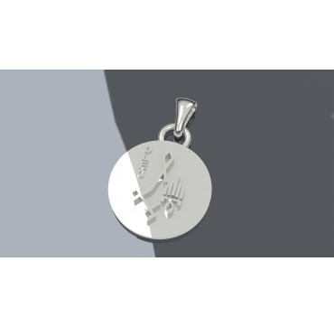 Médaillon Légion Etrangère DLEC