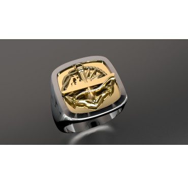 Surfaciers supérieurs - Argent massif + Plateau Or massif 9 carats 375/1000eme - Marine Nationale