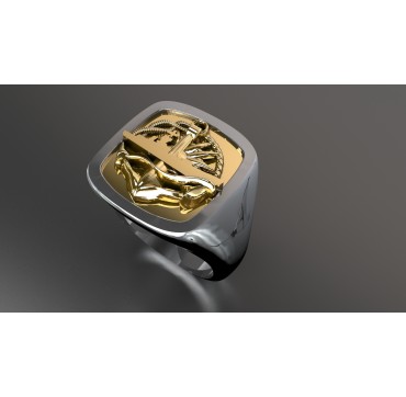 Surfaciers supérieurs - Argent massif + Plateau or 18 carats - Marine Nationale