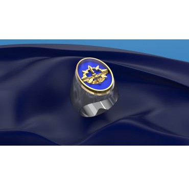 Sous mariniers supérieur - Argent massif + Plateau Or massif 9 carats 375/1000eme- Marine Nationale