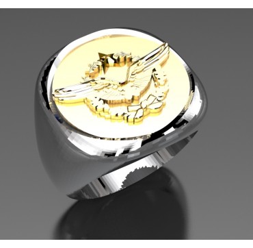 Personnel volant - Argent massif + Plateau or massif - Marine Nationale