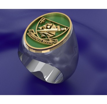 Commandos de marine ovale- Argent massif + Plateau Or massif 9 carats 375/1000eme - Marine Nationale