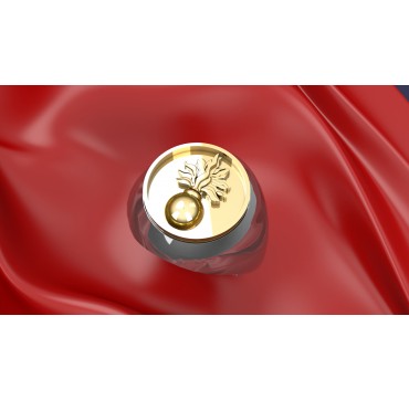 ECOLES ARMÉE DE TERRE- Argent massif + Plateau Or massif 9 carats 375/1000eme - Marine Nationale