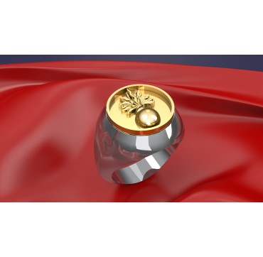 ECOLES ARMÉE DE TERRE - Argent massif + Plateau or massif 18c- Marine Nationale
