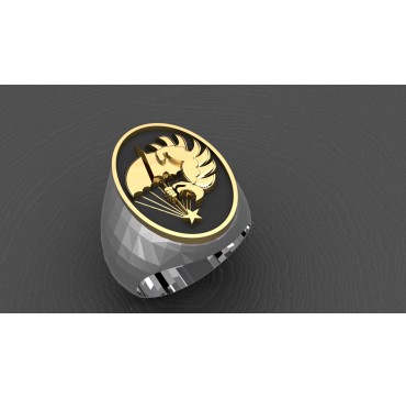 SREPP - Argent massif + Plateau Or massif 9 carats 375/1000eme - Armée de Terre