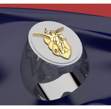 9EME RCP - Argent massif + Plateau or massif 18 carats - Armée de Terre