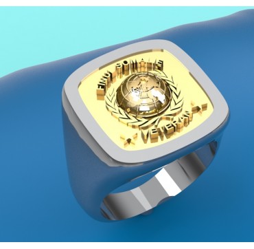 FINUL UNITED NATIONS SOMALIE ARGENT ET OR 9K JAUNE