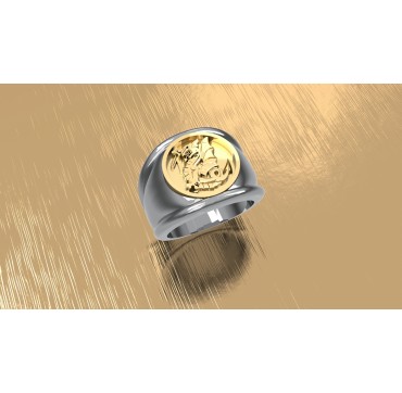 Troupes de marine aéroportées - Argent massif + Plateau Or massif 9 carats 375/1000eme - Armée de Terre