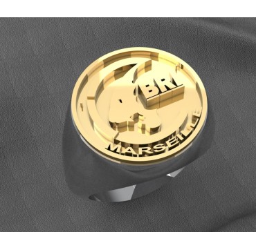 POLICE BRI MARSEILLE - Argent massif + Insigne  or 9 carats - Autres Corporations